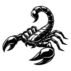Peut inclure: Une illustration graphique en noir et blanc à fort contraste représentant un scorpion. Le design présente un arachnide stylisé avec de grandes pinces proéminentes, un corps segmenté et une queue courbée avec un dard pointé vers le haut.