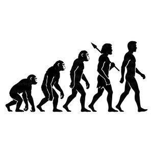 May include: A black silhouette graphic depicting the stages of human evolution, starting with a quadrupedal primate on the left and progressing through various hominid forms to an upright walking human figure holding a spear on the far right.