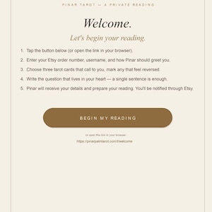 May include: A digital instruction card titled HOW IT WORKS PINAR TAROT - A PRIVATE READING. It lists five steps for a tarot reading, includes a brown button labeled BEGIN MY READING, a URL, and the closing text Take your time. The cards are patient. Pinar.
