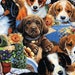see more listings in the Dog Fabric section