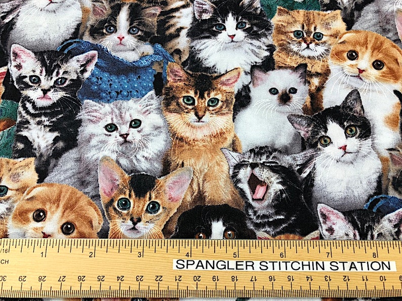 Cat Breed Fabric Cat Fabric Cotton Fabric Etsy