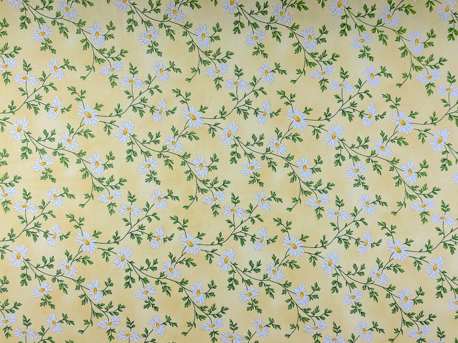 Fresh as a Daisy Daisy Fabric Cotton Fabric Quilting Etsy