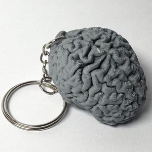 Anatomische hersenen sleutelhanger | Medisch cadeau voor studenten, artsen en neurologen