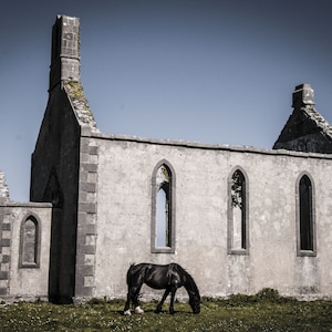 May include: A black horse grazes in front of the ruins of a stone church. The church has several arched windows and a tall, narrow tower.