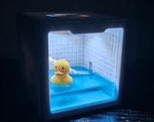 Miniature Rubber Duck Terrarium Cube, Tiny Liminal Poolroom Diorama, Duckie Night Light Desk Decor
