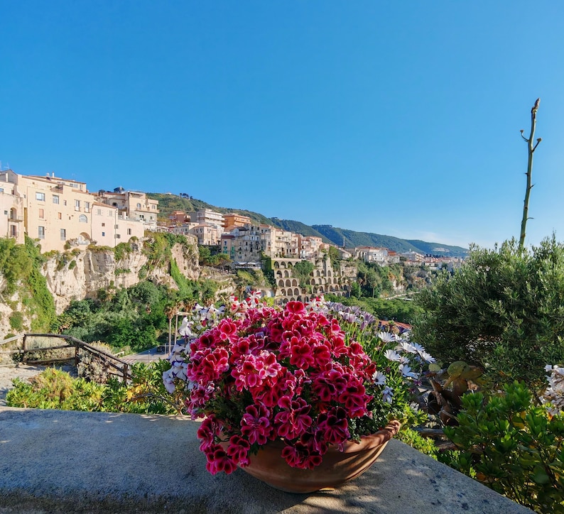Tropea Calabria Sunset View Palm Tree And Ocean Terrace tropea-calabria-sunset-view-palm-tree-and-ocean-terrace