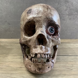 Human Skull Blue Eye