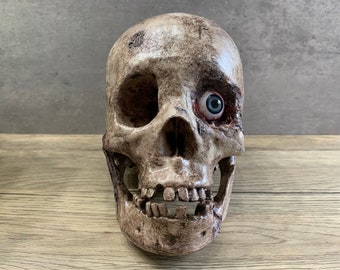 Human Skull Blue Eye