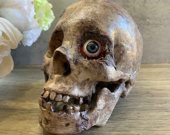 Human Skull Prop Blue Eye