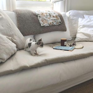 May include: A white sofa featuring a beige linen cover, a brown knit throw, and a floral patterned cloth. A small white and grey kitten stands on the seat next to a blue book, a brown candle, and a pair of dark-rimmed glasses on a wooden board.