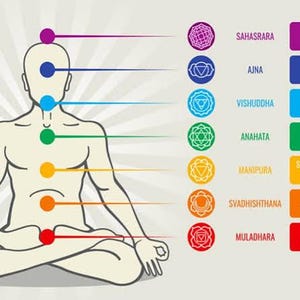 Könnte beinhalten: Ein Diagramm, das eine menschliche Figur in sitzender Meditationshaltung mit sieben farbigen Kreisen entlang der Wirbelsäule zeigt. Jeder Kreis entspricht einem Chakra, beschriftet mit dem Sanskrit-Namen und der englischen Bezeichnung, darunter Crown, Third Eye, Throat, Heart, Solar Plexus, Sacral und Root.