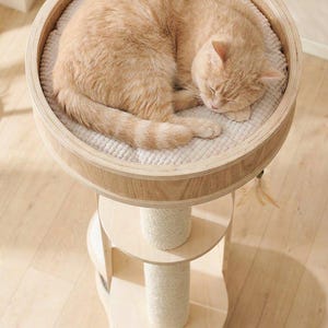Cat Tree for Large Cats, Modern Wood Tower, 72 Inch Tall, Hammock, Sisal Post, Pet Furniture - alternative angle feature showcase