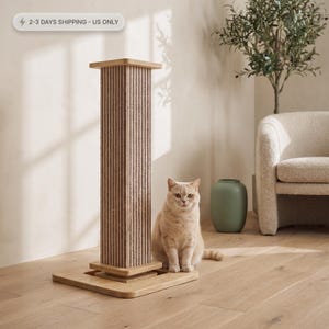 Modern Cat Scratching Post, Tall Sisal Scratcher with Wood Base and Toy, Sturdy Furniture for Indoor Cats