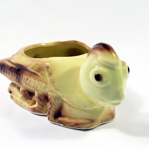 May include: A ceramic planter in the shape of a frog. The planter is primarily light yellow with brown and dark brown accents. The frog has large eyes and a detailed face. The planter is designed to hold small plants or flowers.