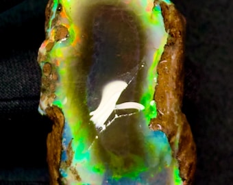 May include: A raw, unpolished opal specimen featuring a dark, translucent center surrounded by a vibrant play-of-color. The stone displays intense flashes of neon green, electric blue, and fiery orange against a rough, earthy brown rock matrix.