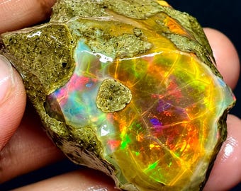 May include: A raw, unpolished opal gemstone featuring a rough, textured, olive-green matrix surrounding a vibrant, translucent center. The stone displays intense flashes of iridescent red, orange, yellow, and green light across its surface.