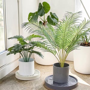 Op de afbeelding: Twee kunstplanten in cilindervormige potten. Eén plant heeft brede, donkergroene bladeren in een witte pot op een witte geribbelde schaal. De andere is een palmachtige plant met groene bladeren in een grijze pot op een grijze schaal.