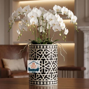 Könnte beinhalten: Eine weiße Orchideenpflanze im Topf mit zahlreichen blühenden Blüten und grünen Blättern in einer zylindrischen schwarz-weißen Vase mit geometrischem Muster. Die Vase zeigt ein Logo mit dem Text Nestro Exim und einem Haussymbol.