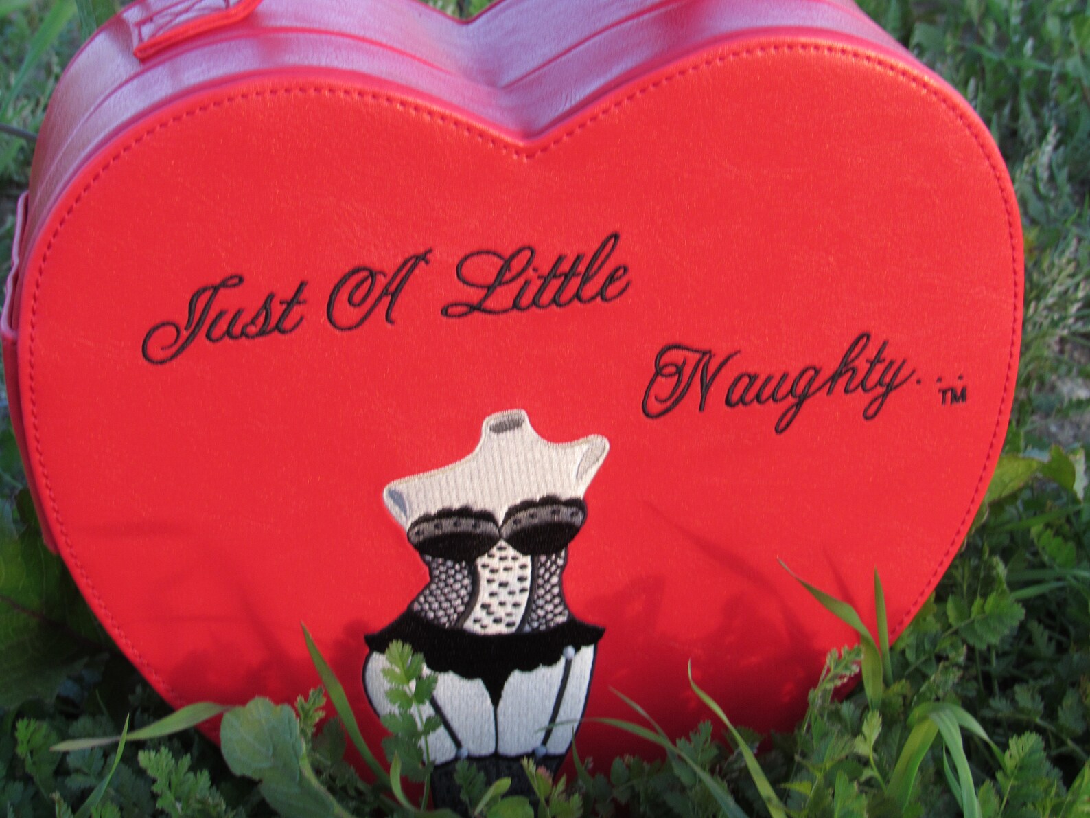 Just A Little Naughty Heart Bag Etsy