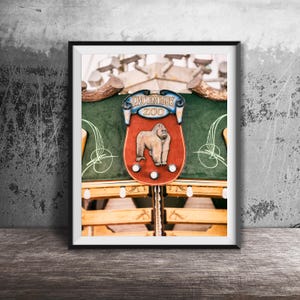 LINCOLN PARK ZOO - Unframed Chicago Photography Print - Lincoln Park, Chicago Carousel Gorilla, Ape Sign