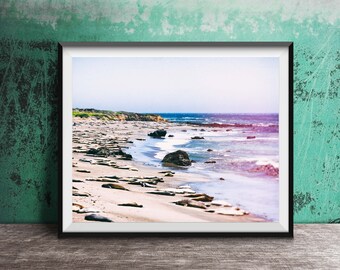 May include: A framed photograph of a beach scene with a large group of seals resting on the sand. The water is a light blue and the sky is a pale blue. The beach is sandy and there are rocks in the water.