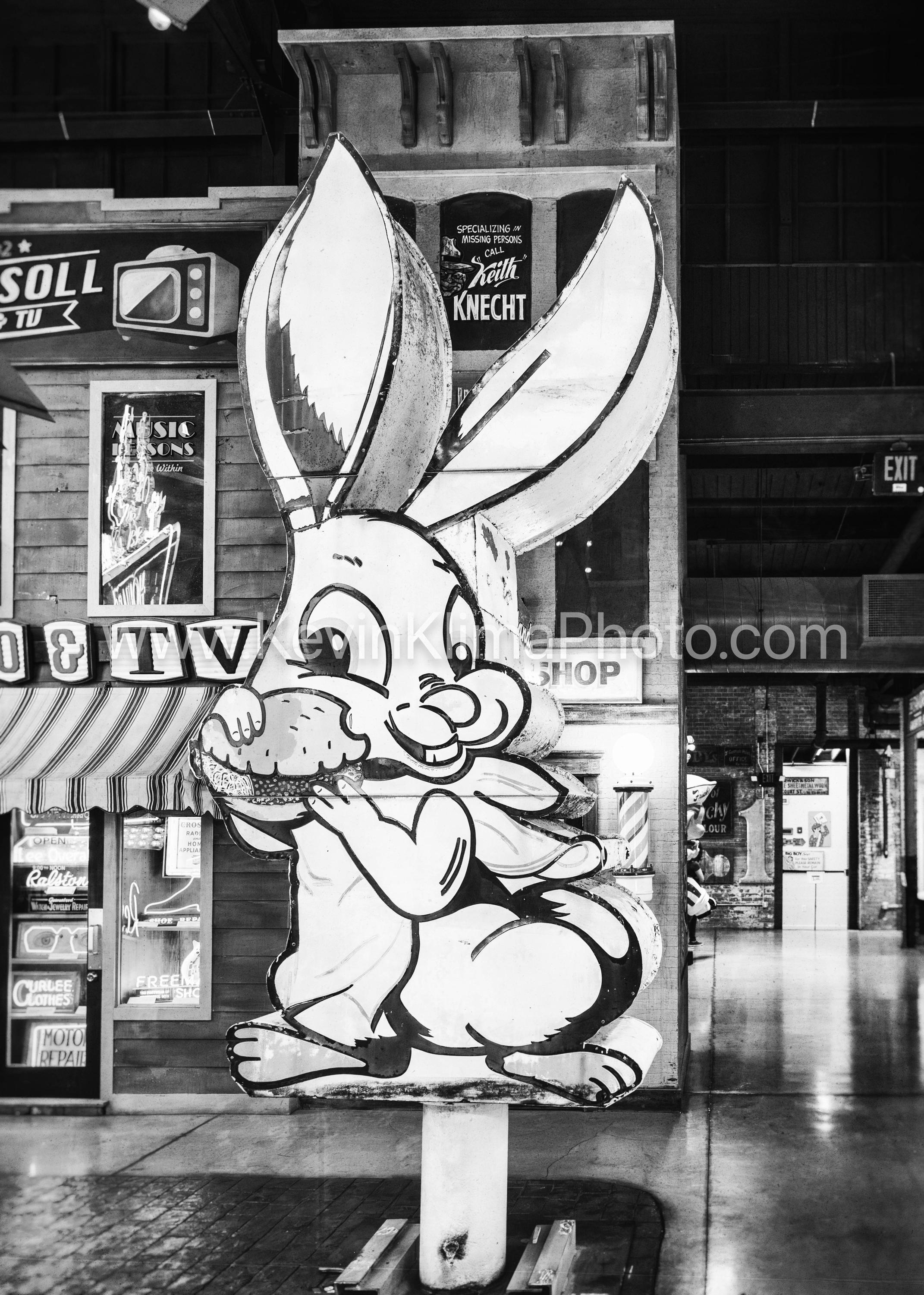 BUNNY BURGER - Unframed Photography Print - Bunny Rabbit Eating a ...