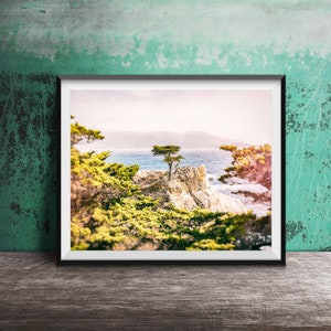 LONE CYPRESS, Pebble Beach - Unframed Photography Print - California Landscape Photograph, Pacific Coast