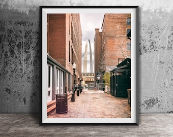 May include: A framed photographic print featuring a narrow brick alleyway lined with tall brown brick buildings. In the distance, the Gateway Arch is visible against a cloudy sky. The scene includes a dark trash receptacle and street lamps.