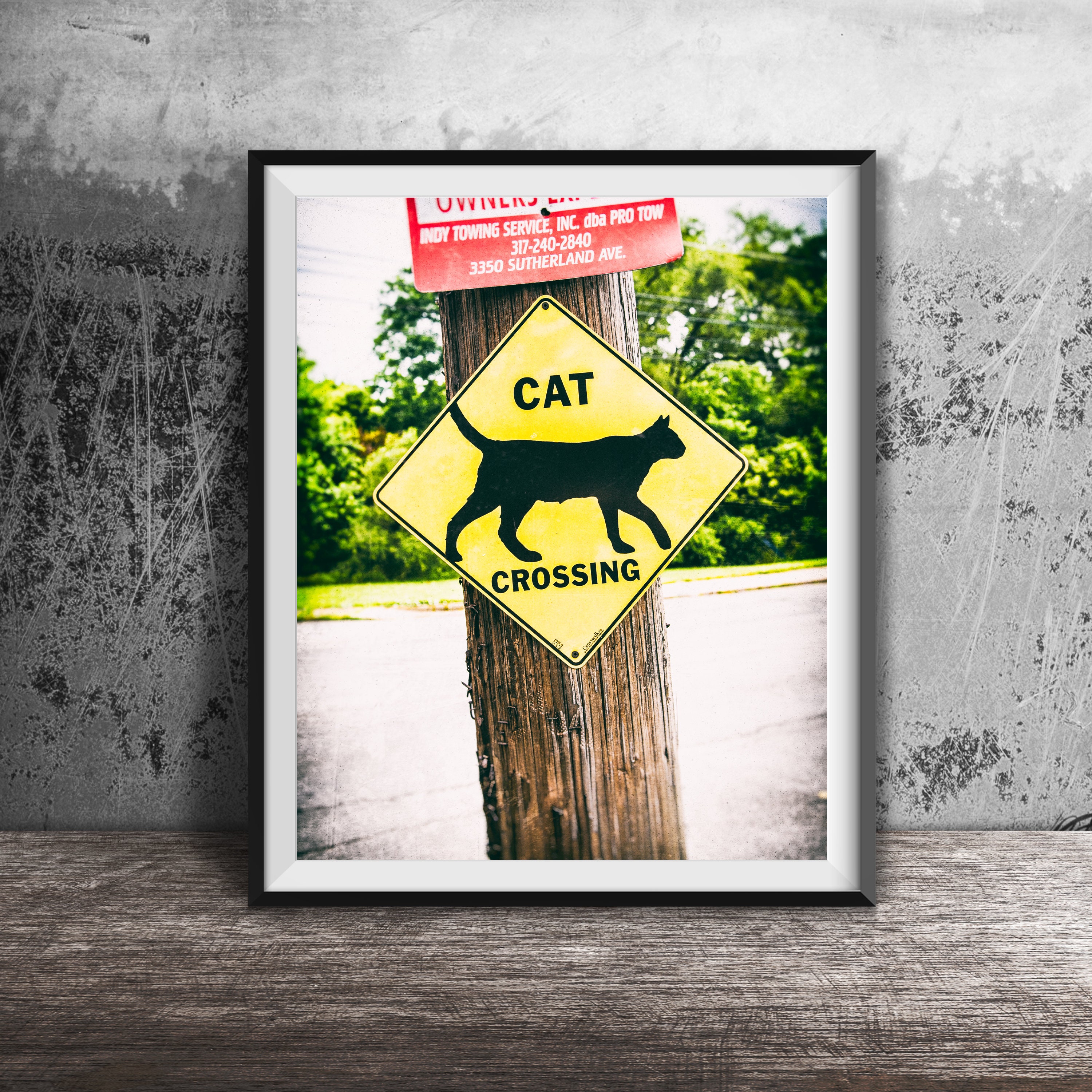 CAT CROSSING Sign Art Photography Wall Art Photo Modern | Etsy