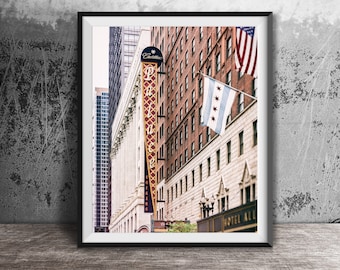 May include: A framed photograph of a city street scene with tall buildings, a red and gold sign that says "Palace", and American and Chicago flags hanging from the buildings. The sign is for the "Cadillac Palace Theatre".
