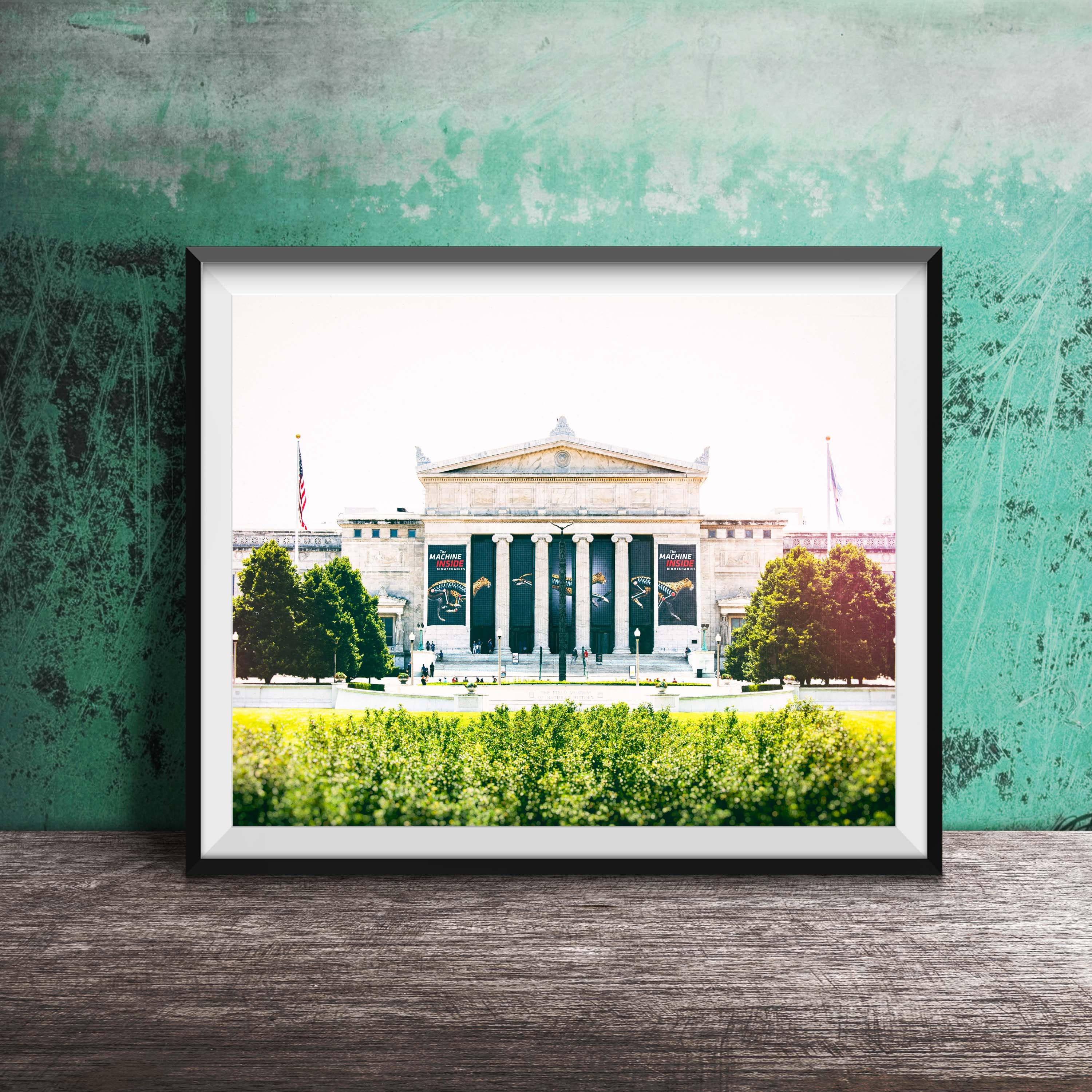 FIELD MUSEUM CHICAGO - Unframed Photography Print - Museum of Natural History Building, Chicago Museum Campus