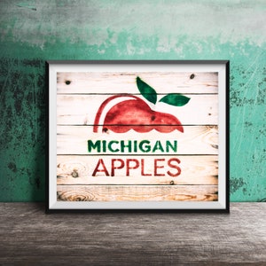 May include: A framed print of a red apple with green leaves on a white wooden background. The text "MICHIGAN APPLES" is printed in green and white letters.