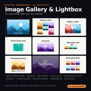 May include: A digital download of 10 JavaScript snippets for an image gallery and lightbox. The graphic displays various web effects including a masonry grid, before/after slider, hover zoom lens, carousel, filterable grid, thumbnail gallery, and polaroid scatter.