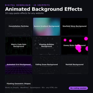 May include: A digital download of 10 animated background effects for websites, including Constellation Particles, Aurora Gradient, Starfield Warp, Matrix Code Rain, Floating Bubbles, Gooey Blobs, Animated Grid, Falling Snow, Rainfall, and Floating Geometric Shapes.