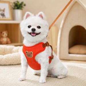 Puede incluir: Un perro pequeño de pelaje blanco lleva un arnés de pecho de color naranja brillante con un parche de cara de oso marrón. El arnés tiene correas marrones y está sujeto a una correa fina del mismo color. El perro tiene una expresión alegre.