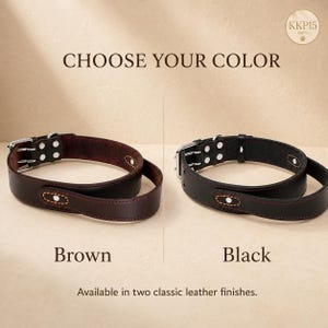 May include: Two leather collars, one brown and one black, each featuring a silver-toned metal buckle with two prongs, silver rivets, and decorative orange stitching. The text CHOOSE YOUR COLOR, Brown, Black, and Available in two classic leather finishes appears.
