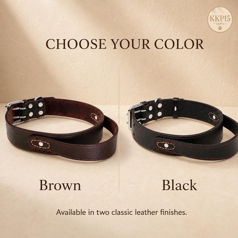 May include: Two leather collars, one brown and one black, each featuring a silver-toned metal buckle with two prongs, silver rivets, and decorative orange stitching. The text CHOOSE YOUR COLOR, Brown, Black, and Available in two classic leather finishes appears.