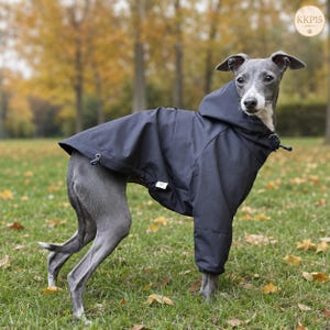 Peut inclure: Un lévrier italien gris portant un imperméable à capuche noir uni. La veste présente des manches longues, une capuche et des cordons de serrage réglables avec des embouts au niveau de l'ourlet et du cou. Une petite étiquette blanche est visible.
