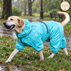May include: A light-coloured dog with a tan coat wearing a bright turquoise, full-body waterproof raincoat with a hood and elastic cuffs. The dog is holding a dark ball in its mouth while standing on wet grass. A circular logo reads KKP15.