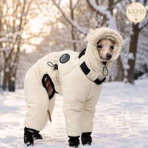 Puede incluir: Un mono aislante para perro de color crema con una capucha que presenta un forro texturizado similar al vellón. La prenda incluye ribetes negros, una correa negra tipo arnés alrededor del cuello y botas protectoras negras en las patas.