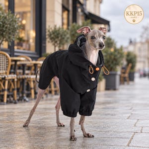 Könnte beinhalten: Ein grauer Italienischer Windhund trägt eine schwarze Kapuzenjacke mit langen Ärmeln, elastischen Bündchen und einer Knopfleiste vorne. Die Jacke hat orangefarbene Kordelzüge am Hals. Ein kreisförmiges Logo in der Ecke zeigt KKP15.