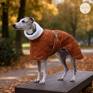 Puede incluir: Un perro atigrado gris y blanco lleva un abrigo acolchado de color naranja óxido con un cuello de forro polar blanco grueso. El abrigo cuenta con un cierre de hebilla en el lateral y un logotipo circular en la esquina superior derecha con el texto KKP15.