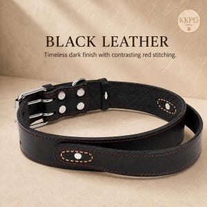 May include: A black leather collar featuring silver-toned metal hardware, including a double-prong buckle and D-ring. The collar is accented with red stitching along the edges and decorative tan-stitched oval patches with central silver rivets.