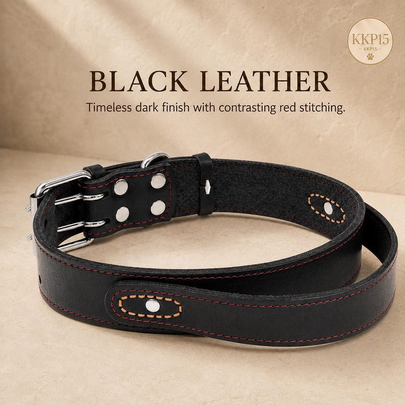 May include: A black leather collar featuring silver-toned metal hardware, including a double-prong buckle and D-ring. The collar is accented with red stitching along the edges and decorative tan-stitched oval patches with central silver rivets.