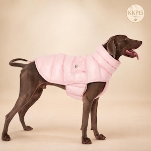 May include: A dark brown dog wearing a light pink quilted puffer vest with a high collar and a small pocket on the side. The vest features horizontal stitching and a circular logo on the pocket. A circular badge in the corner displays KKP15.