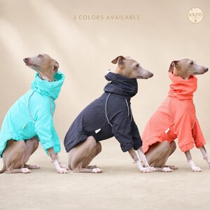 May include: Three Italian Greyhound dogs wearing textured high-neck sweaters in turquoise, black, and coral orange. Each sweater features long sleeves, a ribbed collar, and a reflective piping detail. The text 3 COLORS AVAILABLE is visible.