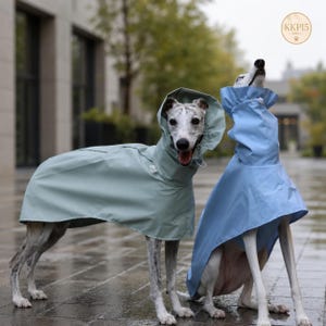 May include: Two dogs wearing hooded raincoats, one in sage green and one in light blue. The sage green coat covers the back and head, while the light blue coat features a high collar and cape-like design. A circular logo with text KKP15 is visible.