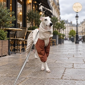 May include: A white and tan dog wearing a two-toned jumpsuit with a high collar and a drawstring toggle. The garment features a cream-colored upper section and a rust-colored lower section covering the legs. A leash is attached to the collar.