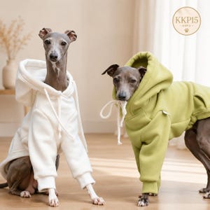 Könnte beinhalten: Zwei Italienische Windspiele tragen Kapuzenpullover. Ein Hund trägt einen einfarbigen weißen Kapuzenpullover mit langen weißen Kordeln, der andere einen einfarbigen lindgrünen Kapuzenpullover mit langen weißen Kordeln. Ein kreisförmiges Logo mit dem Text KKP15 ist sichtbar.
