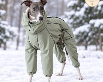 May include: A grey and white dog wearing a sage green, full-body winter jumpsuit with a high collar, a drawstring toggle, and black seam detailing. The garment features a white fleece lining and elastic cuffs on the legs, providing full coverage.